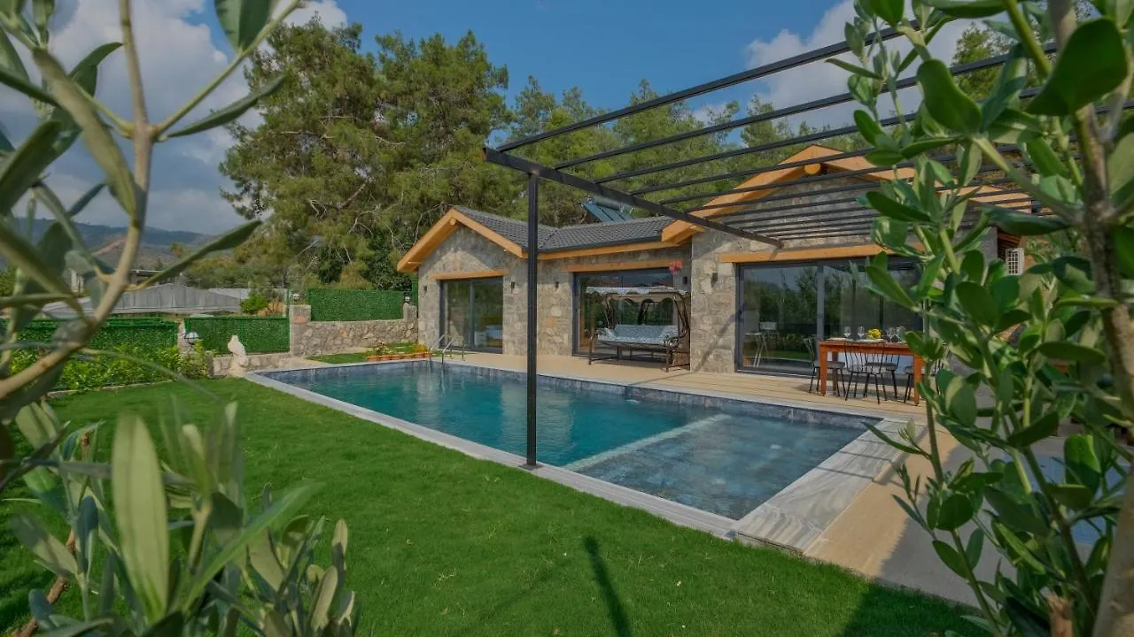Guntekin Stone Villa Fethiye 0*,  Türkei