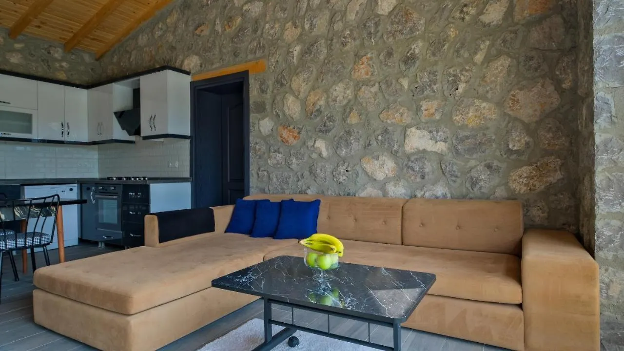 Guntekin Stone Villa Fethiye 0*,  Türkei